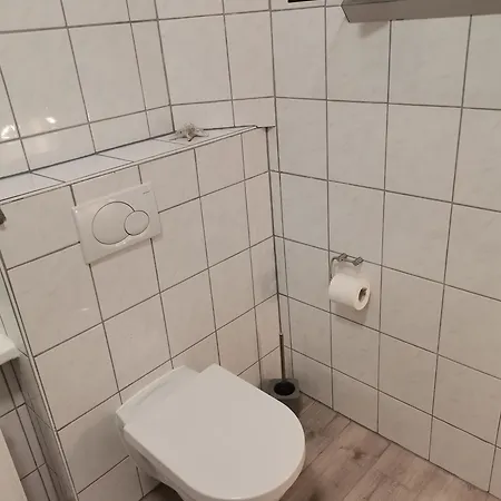 Im Harzer Vogelnest Spatzennest *